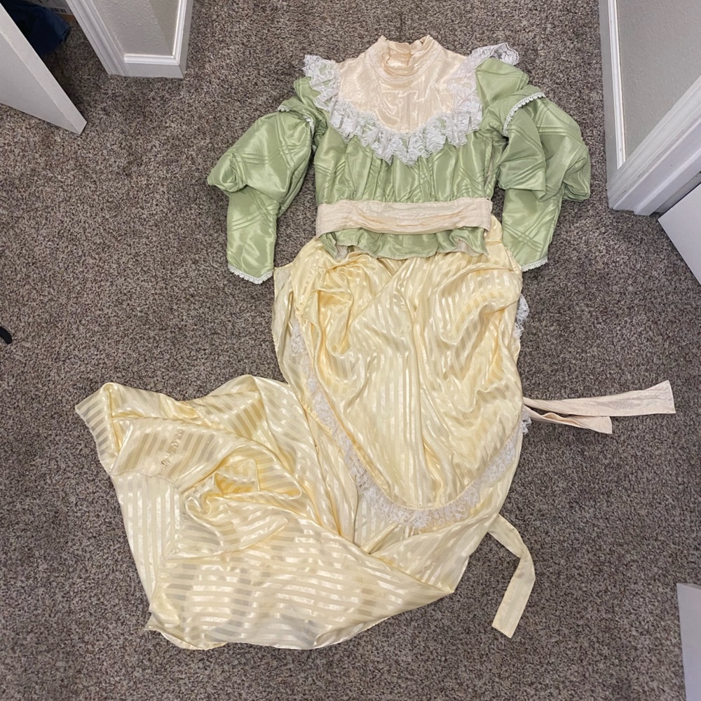 Amazing 19th century Costume Gown